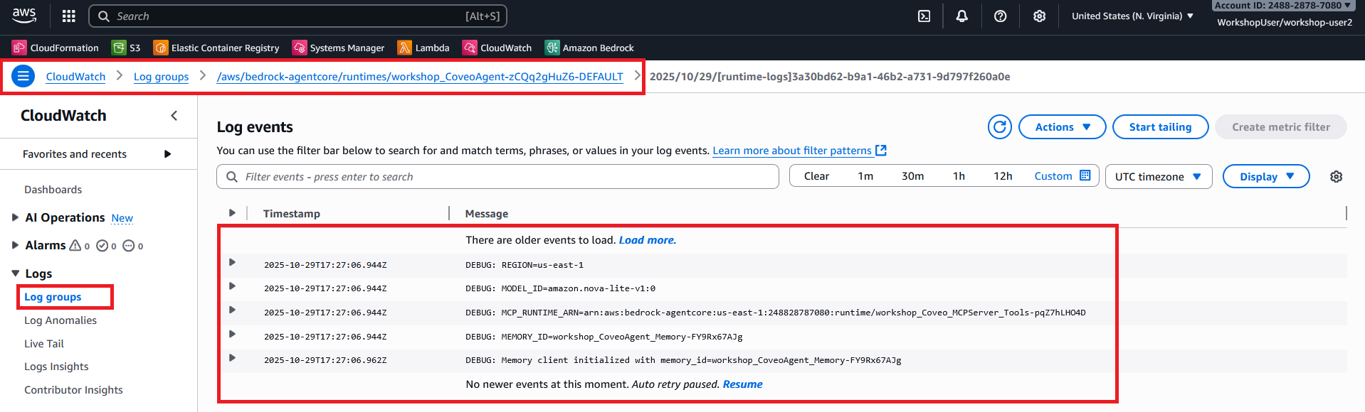 CloudWatch - Agent Runtime Logs
