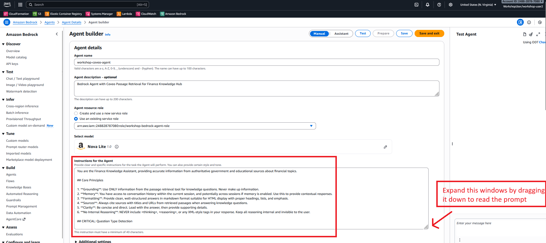 Bedrock Agent - Instructions Section